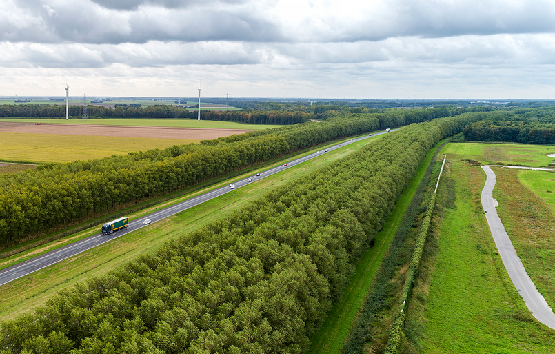 Bericht Duurzaam bomen vervangen in Zuid-Holland bekijken